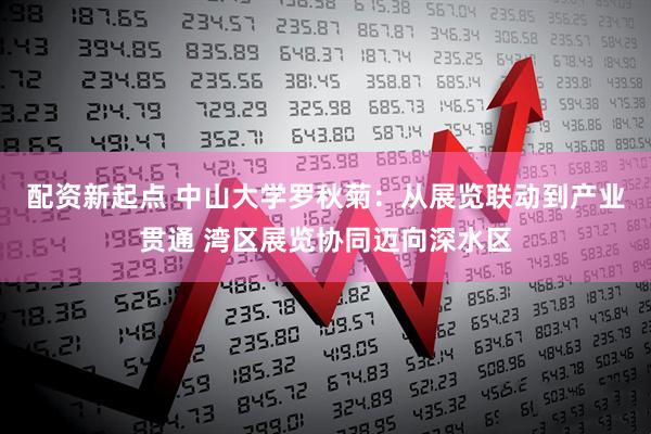 配资新起点 中山大学罗秋菊：从展览联动到产业贯通 湾区展览协同迈向深水区