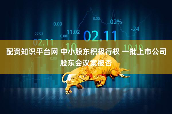 配资知识平台网 中小股东积极行权 一批上市公司股东会议案被否
